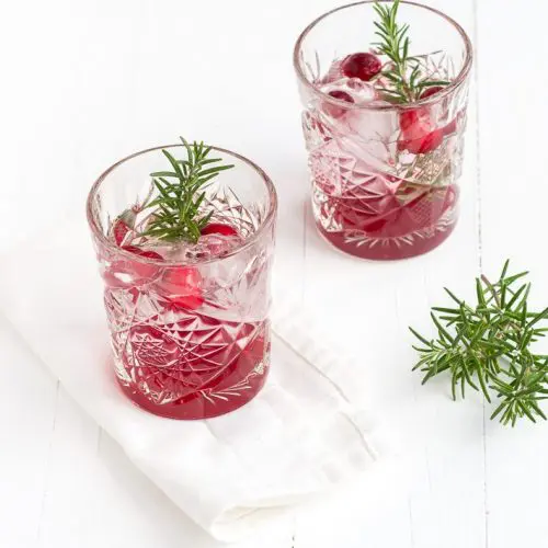cranberry-gin-tonic-1-1