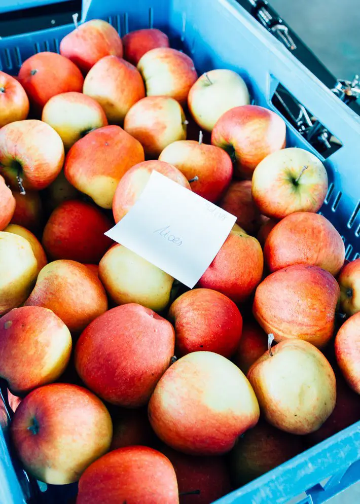 Fruittuin van West