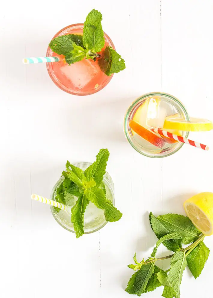 gin tonic recepten