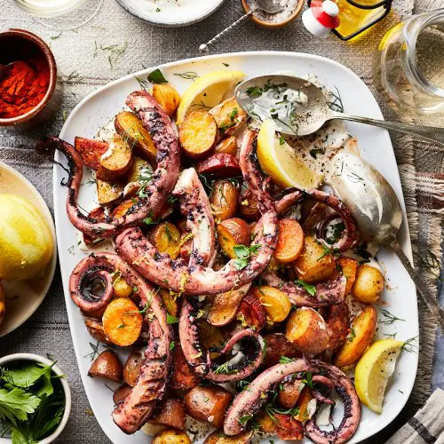 Pulpo