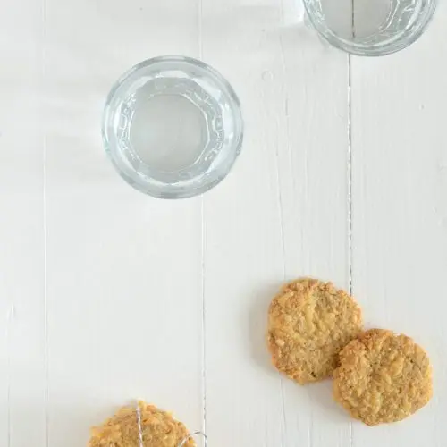 hartige havermoutkoekjes