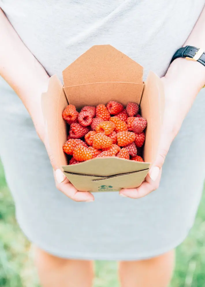 Fruittuin van West