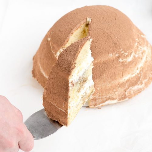 tiramisu bombe